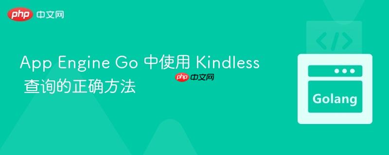 App Engine Go 中使用 Kindless 查询的正确方法