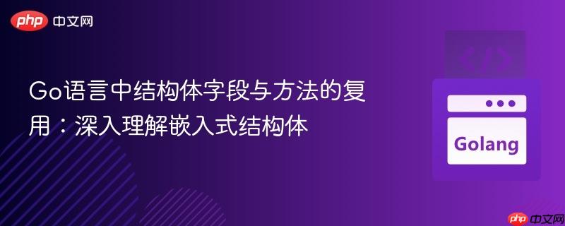 Go语言中结构体字段与方法的复用：深入理解嵌入式结构体