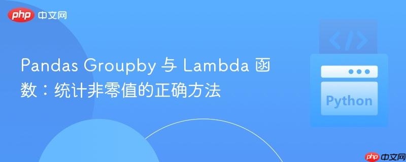 pandas groupby 与 lambda 函数：统计非零值的正确方法