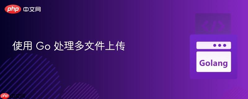 使用 Go 处理多文件上传