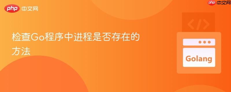 检查Go程序中进程是否存在的方法