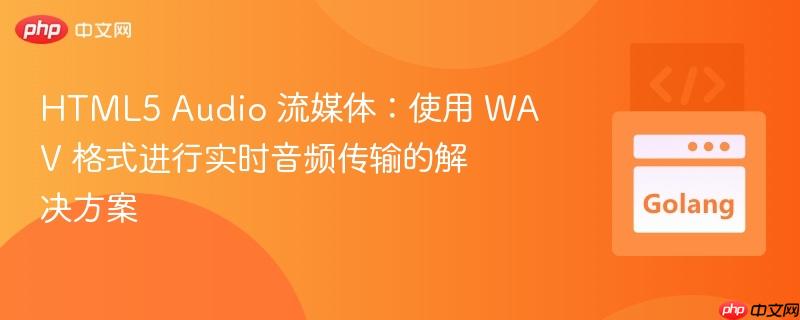 HTML5 Audio 流媒体：使用 WAV 格式进行实时音频传输的解决方案