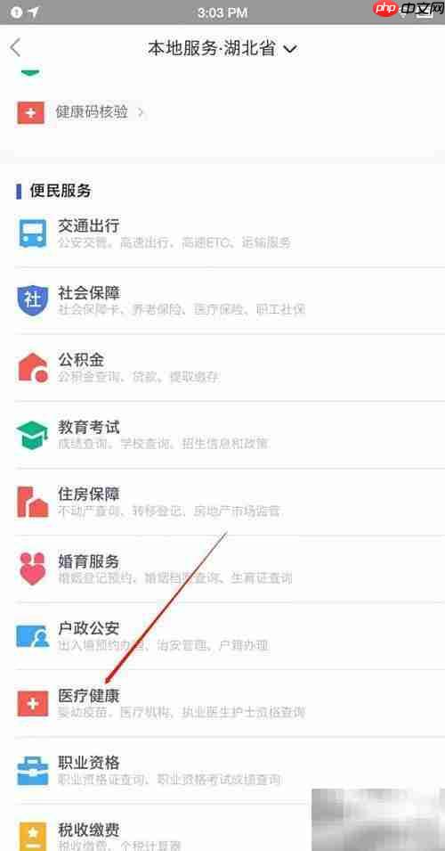 湖北医疗机构查询指南