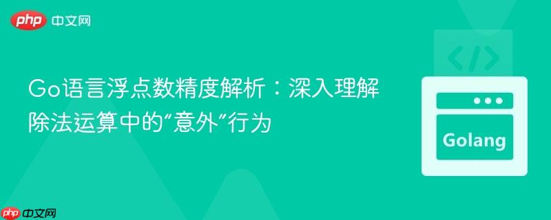 Go语言浮点数精度解析：深入理解除法运算中的“意外”行为
