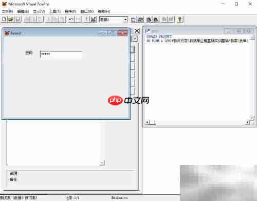 VF6.0表单文本框显示控制