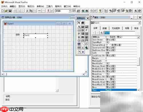vf6.0表单文本框显示控制