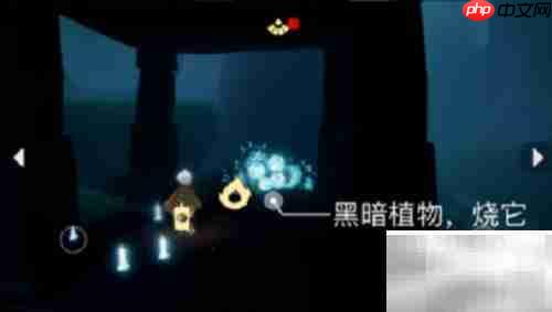 光遇2.10每日任务速通攻略