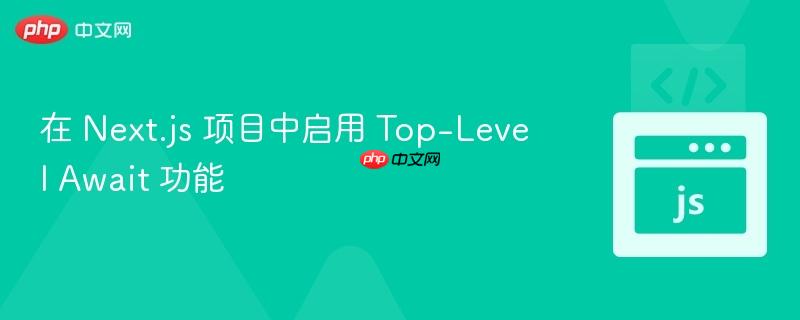 在 Next.js 项目中启用 Top-Level Await 功能