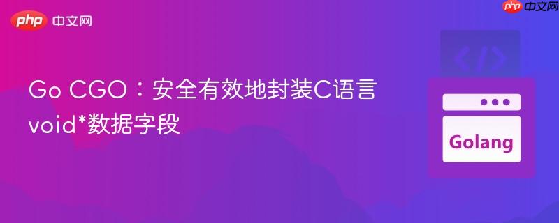 Go CGO：安全有效地封装C语言void*数据字段