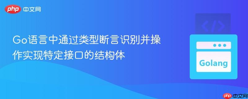Go语言中通过类型断言识别并操作实现特定接口的结构体