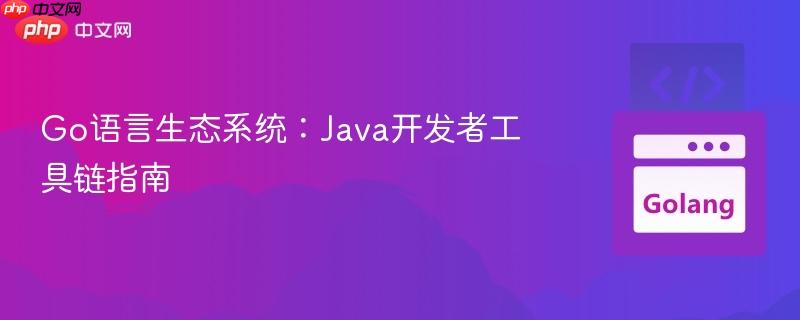 Go语言生态系统：Java开发者工具链指南