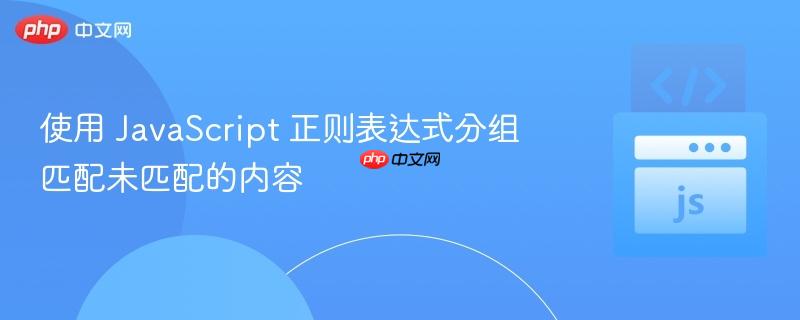 使用 JavaScript 正则表达式分组匹配未匹配的内容