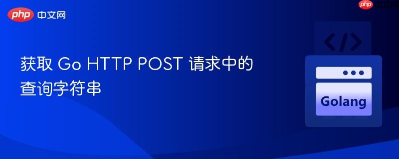 获取 Go HTTP POST 请求中的查询字符串