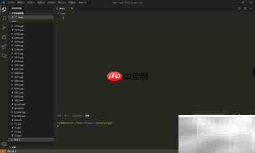 C语言判断数字100方法