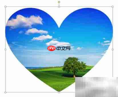 2017电子文档保护操作指南