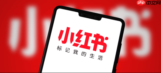 小红书商户版能开通直播吗_小红书商户版直播功能开通条件