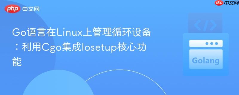 Go语言在Linux上管理循环设备：利用Cgo集成losetup核心功能
