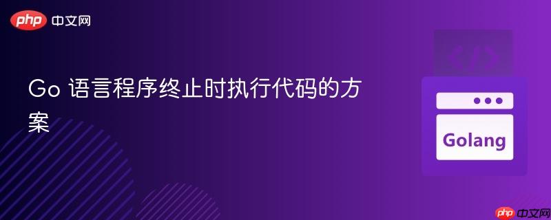 Go 语言程序终止时执行代码的方案