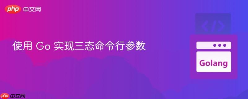 使用 Go 实现三态命令行参数
