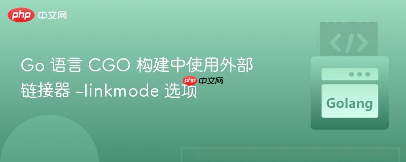 Go 语言 CGO 构建中使用外部链接器 -linkmode 选项