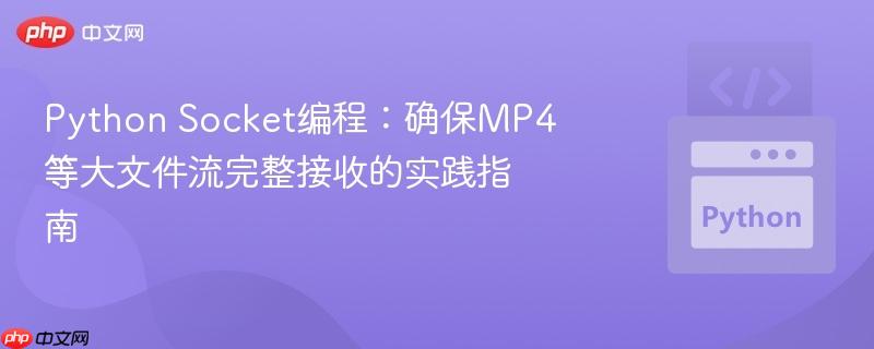 Python Socket编程：确保MP4等大文件流完整接收的实践指南