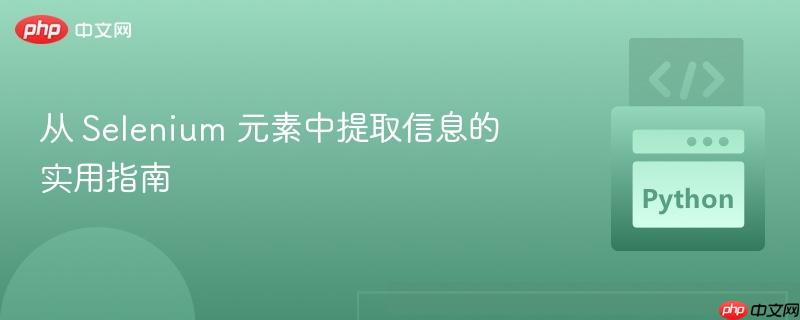 从 selenium 元素中提取信息的实用指南