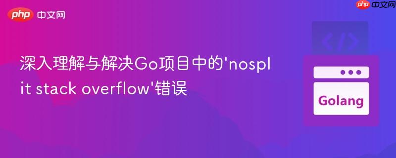 深入理解与解决Go项目中的’nosplit stack overflow’错误