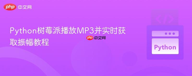 Python树莓派播放MP3并实时获取振幅教程