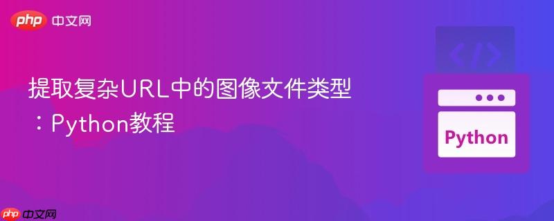 提取复杂URL中的图像文件类型：Python教程