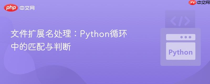 文件扩展名处理：python循环中的匹配与判断