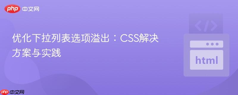 优化下拉列表选项溢出：CSS解决方案与实践