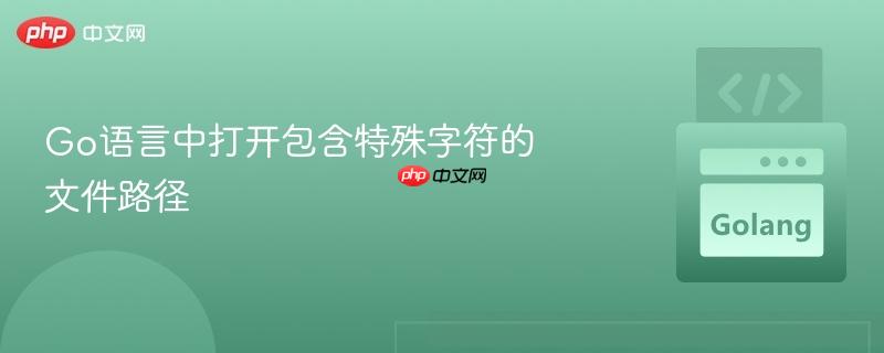 Go语言中打开包含特殊字符的文件路径