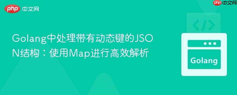Golang中处理带有动态键的JSON结构：使用Map进行高效解析