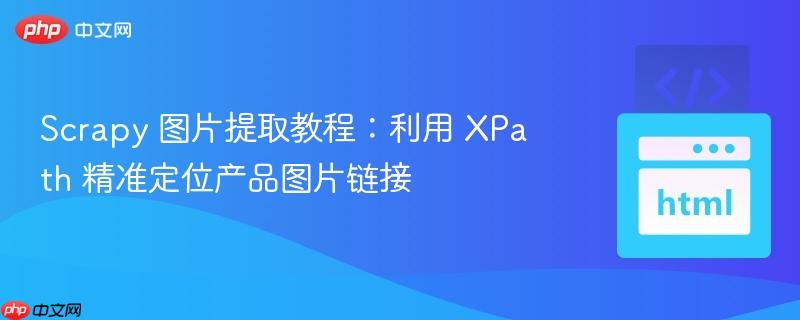Scrapy 图片提取教程：利用 XPath 精准定位产品图片链接