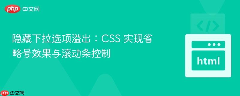 隐藏下拉选项溢出：CSS 实现省略号效果与滚动条控制