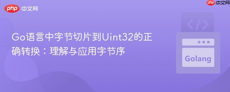 Go语言中字节切片到Uint32的正确转换：理解与应用字节序