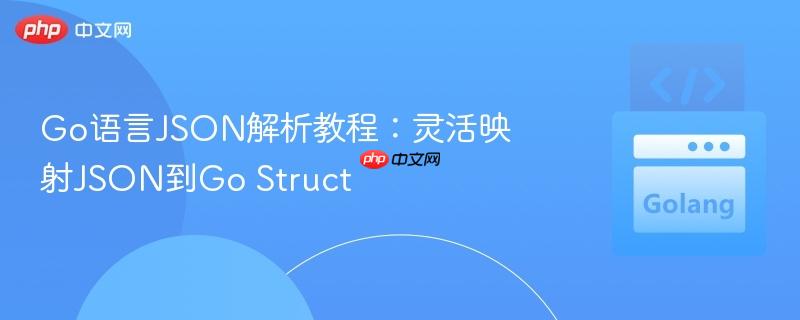 Go语言JSON解析教程：灵活映射JSON到Go Struct