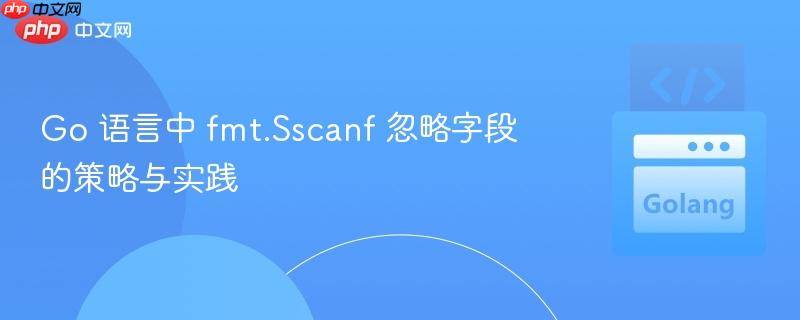 Go 语言中 fmt.Sscanf 忽略字段的策略与实践