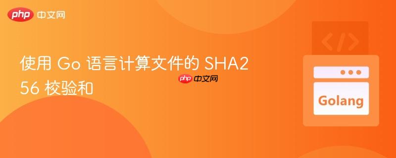 使用 Go 语言计算文件的 SHA256 校验和