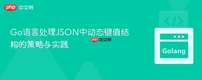 Go语言处理JSON中动态键值结构的策略与实践
