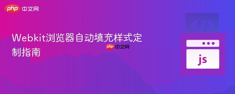 Webkit浏览器自动填充样式定制指南