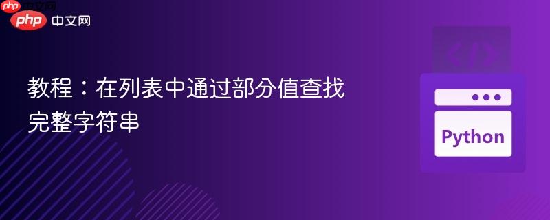教程：在列表中通过部分值查找完整字符串