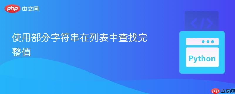 使用部分字符串在列表中查找完整值