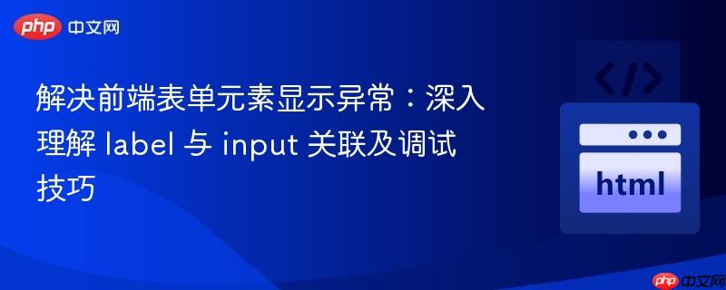 解决前端表单元素显示异常：深入理解 label 与 input 关联及调试技巧
