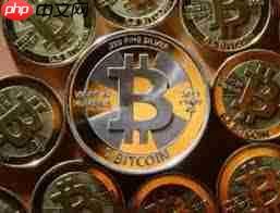 Chainbase币投资价值怎么样