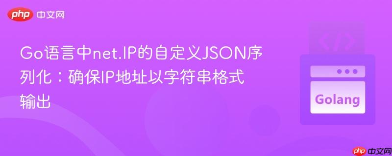Go语言中net.IP的自定义JSON序列化：确保IP地址以字符串格式输出