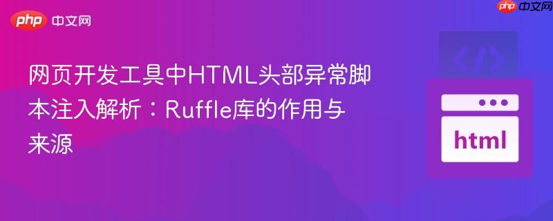 网页开发工具中HTML头部异常脚本注入解析：Ruffle库的作用与来源