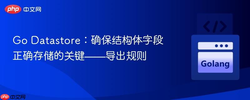 Go Datastore：确保结构体字段正确存储的关键——导出规则