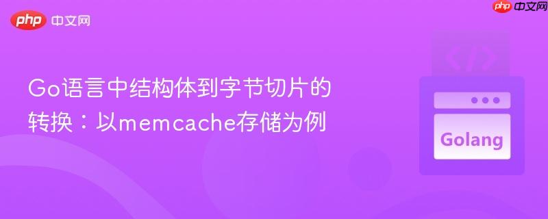 Go语言中结构体到字节切片的转换：以memcache存储为例