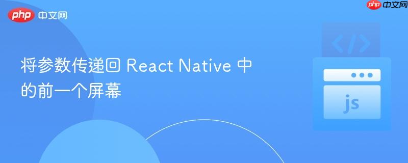 将参数传递回 React Native 中的前一个屏幕